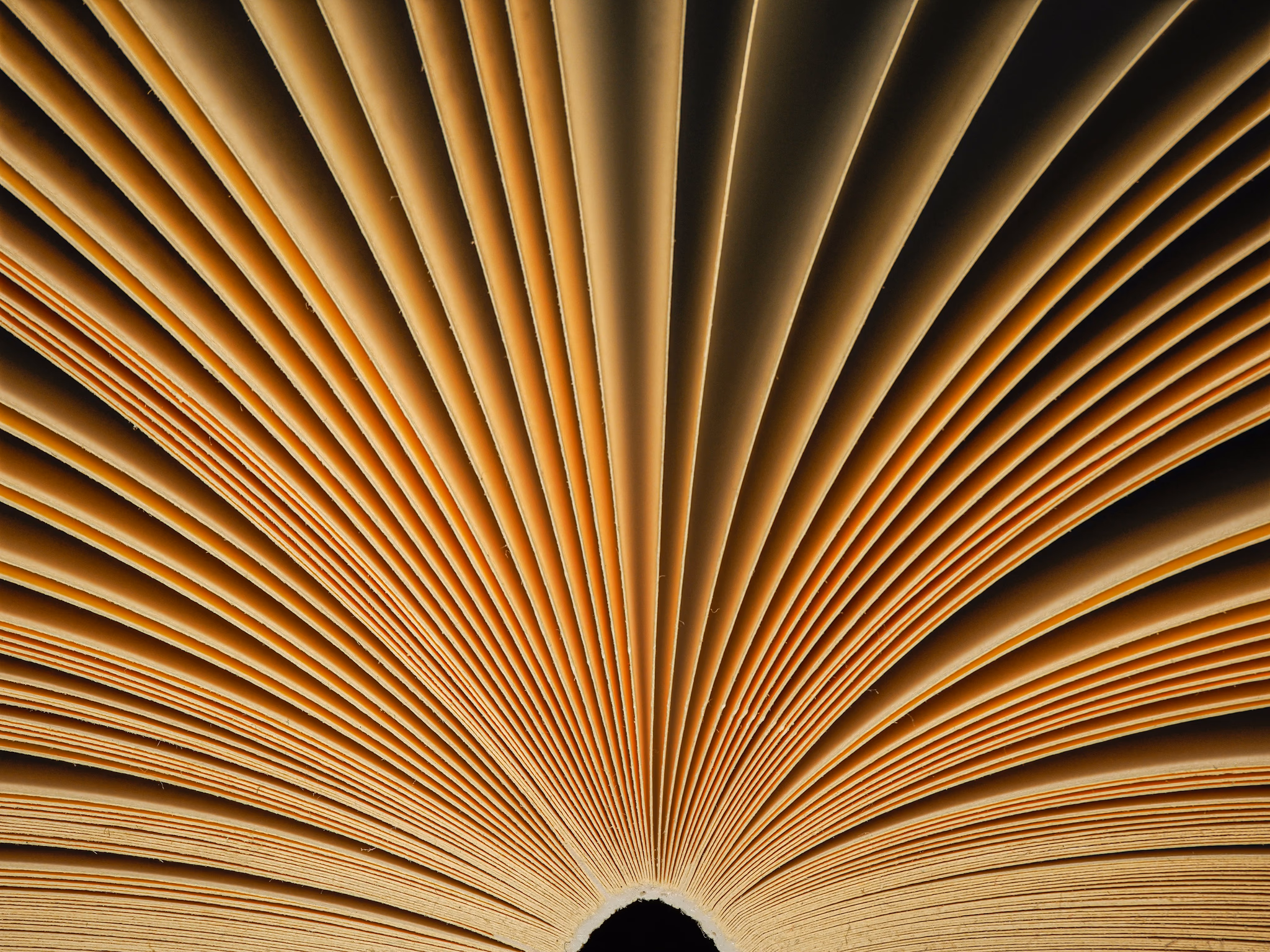 Speaking Engagements and Writing